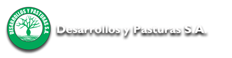 Desarrollos y Pasturas S.A.